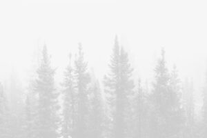 image placeholder 13 min