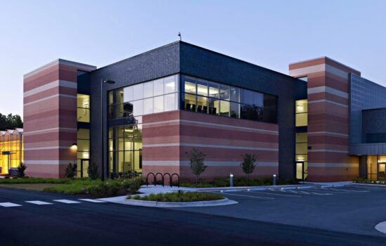 medicago twilight 1920x1280