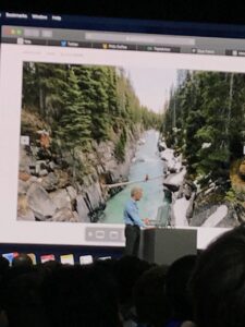 photo 2018 06 08 17 13 38