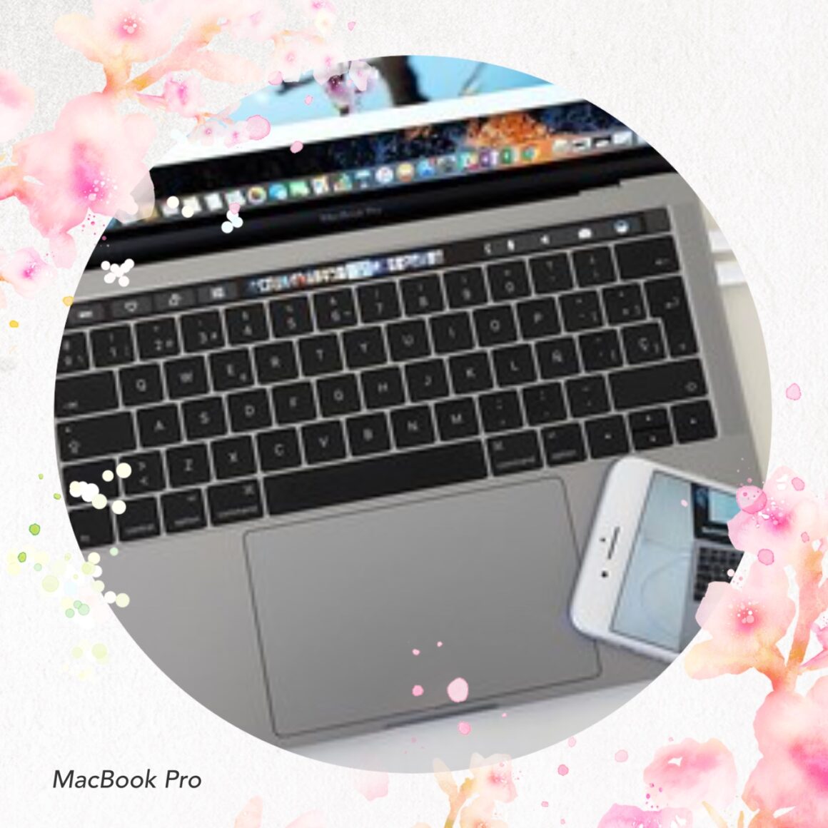 C718B2FD EA4D 43D4 BD41 87D7AE6390B1