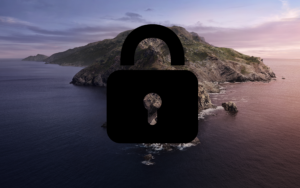 Screen Shot 2019 06 04 at 1