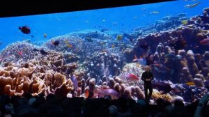 WthmvDhGb8FZeMEMmvKdgd 650 80