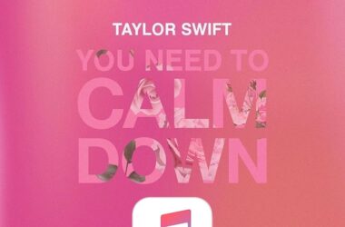 You Need to Calm Down Apple Music
