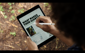 Screenshot 2020 09 16 at 12