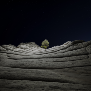 New iOS 14.2 Beta 4 Wallpapers