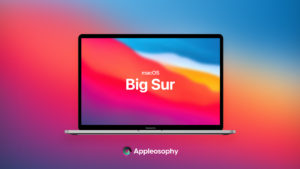 bigsurrelease