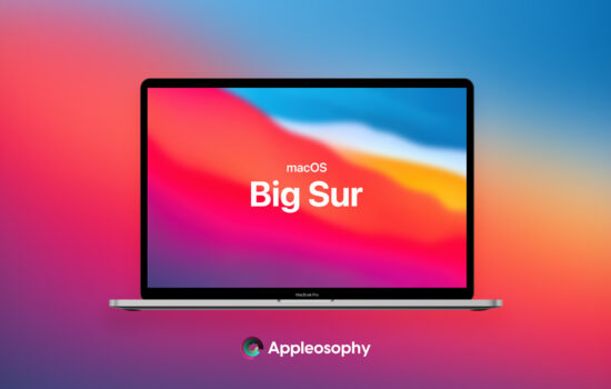 bigsurrelease