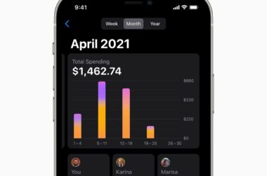 71a95495 apple card family