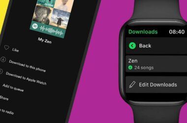 d24e22c5 spotify apple watch
