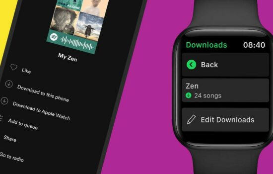 d24e22c5 spotify apple watch