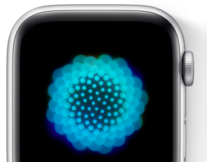 Screen Shot 2021 06 07 at 5