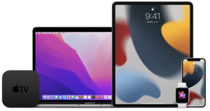 Screen Shot 2021 06 30 at 4