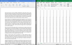 Word and Excel on MacOS 12.1