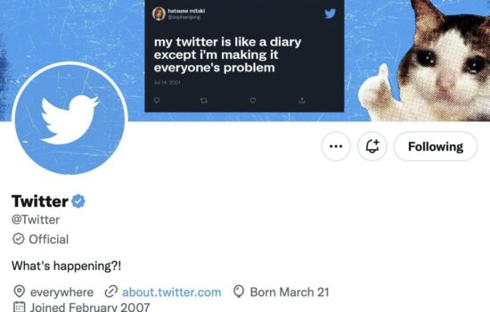 Twitter's profile with a "official" badge under the username