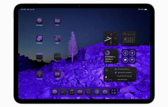 New Home Screen with tinted icons in iPadOS 18