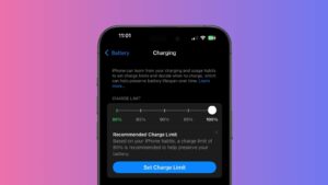 Screenshot on what the Charge Limit Options look like