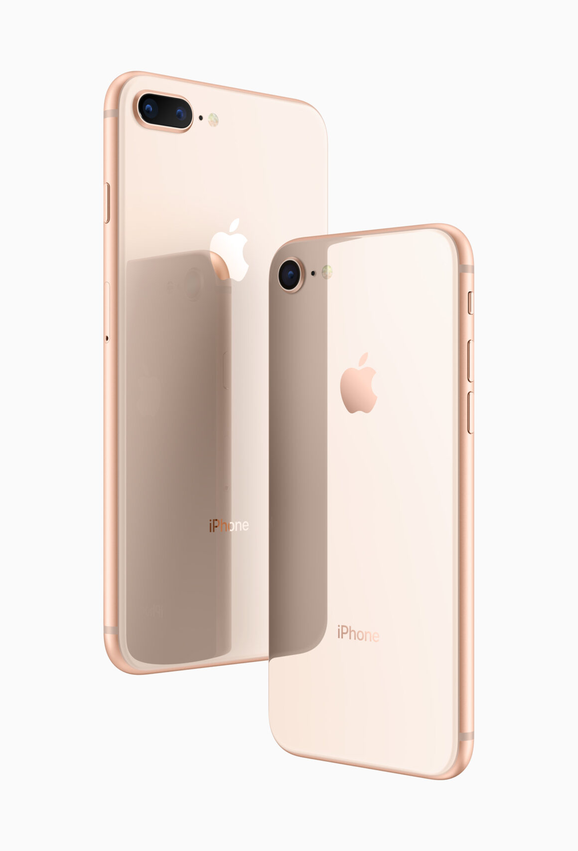 8plus_and_8_glass_back_big.jpg