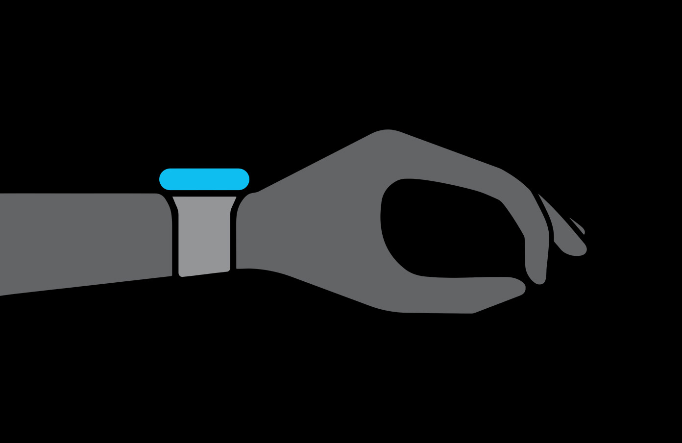 watchOS 27