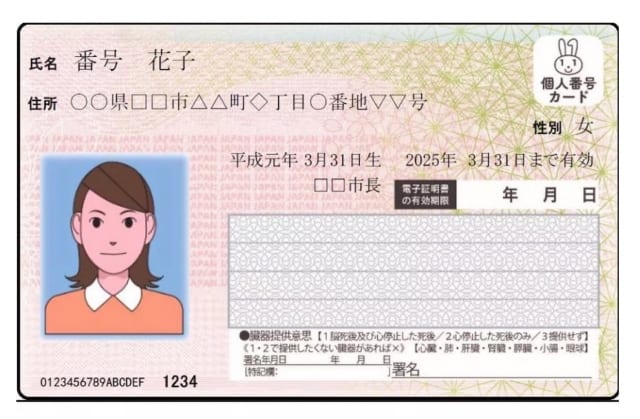 348673 640