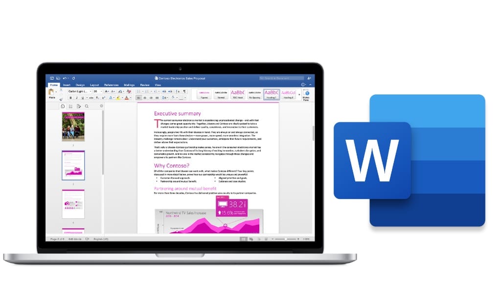 Microsoft Word 