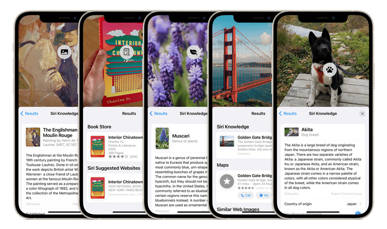 Visual Look Up on iOS 15