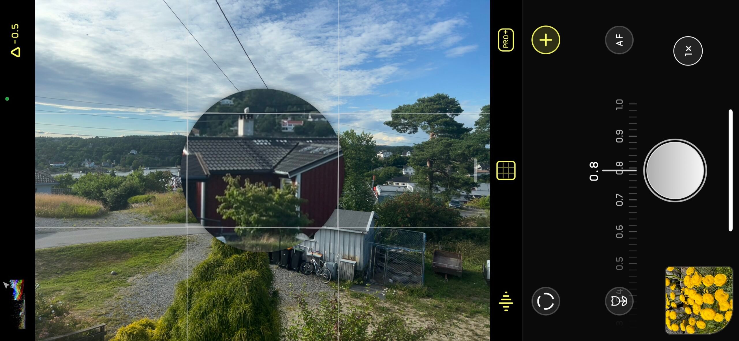 Halide: Focus Loupe
