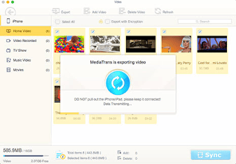 Media Export Feature