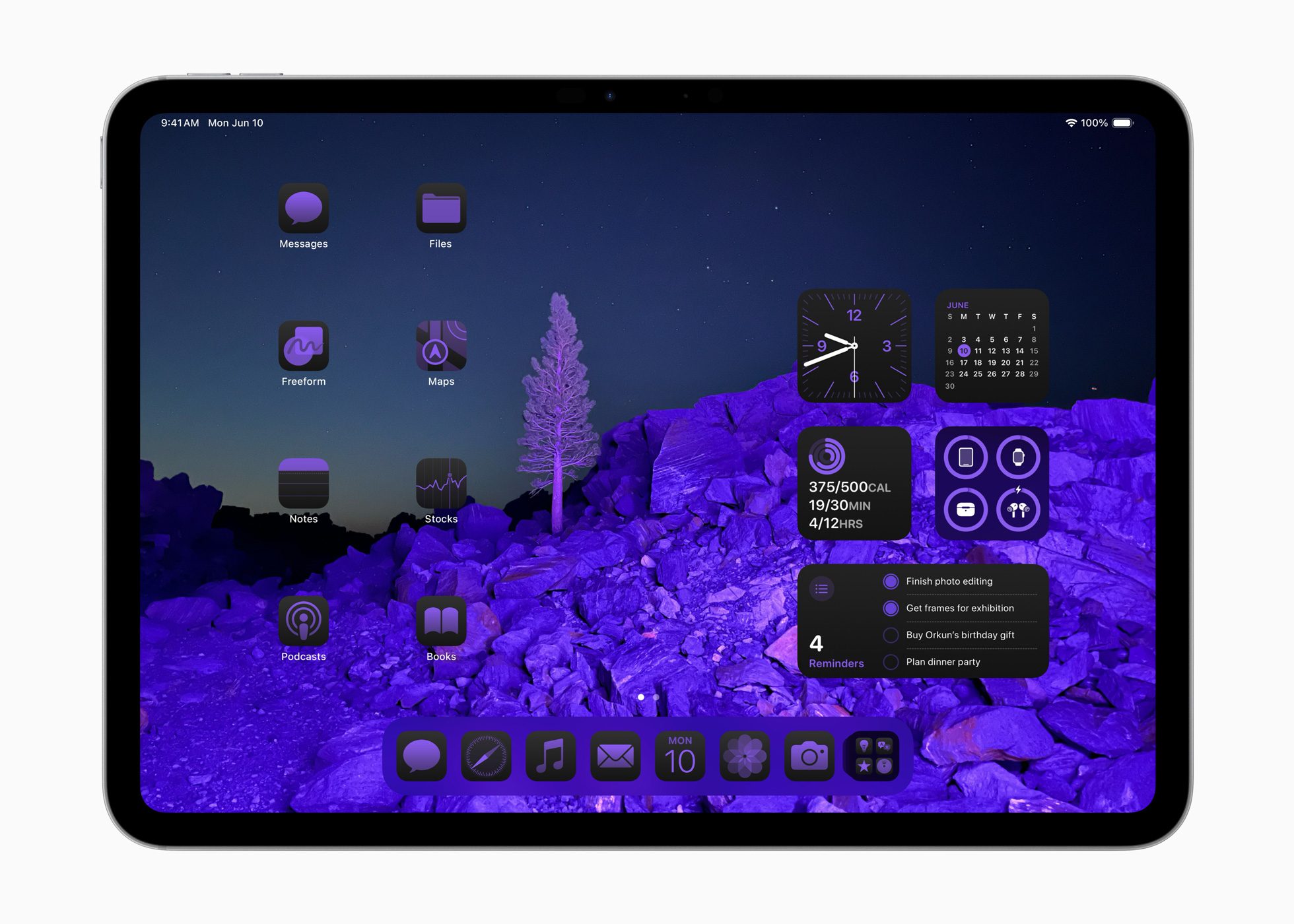 New Home Screen with tinted icons in iPadOS 18
