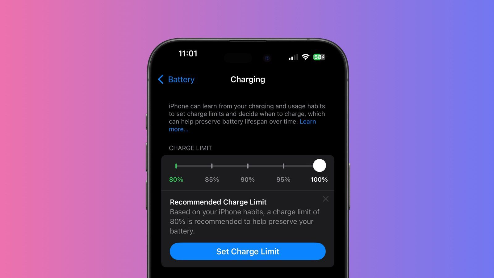 Screenshot on what the Charge Limit Options look like