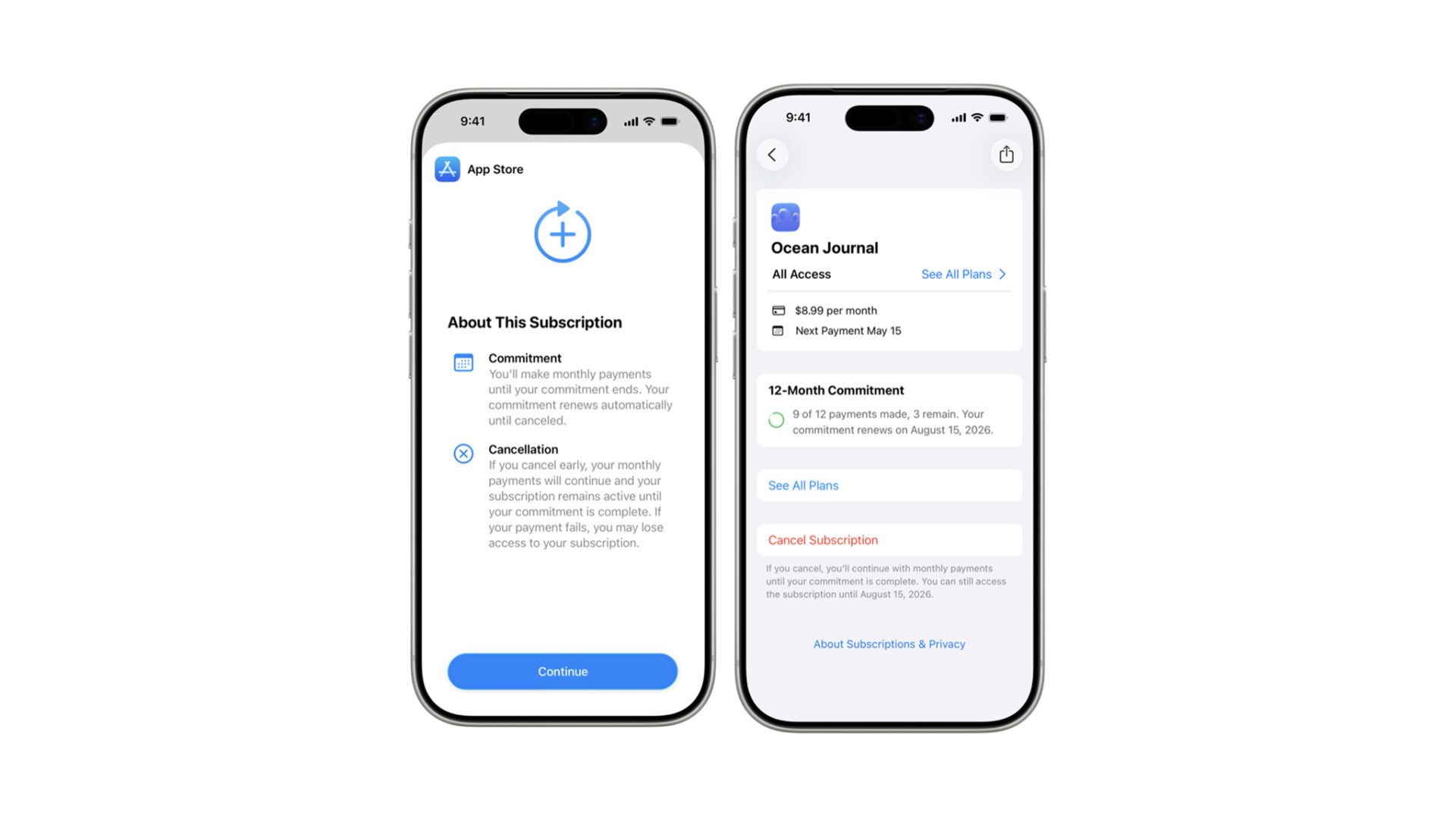Apple App Store Subscription Option