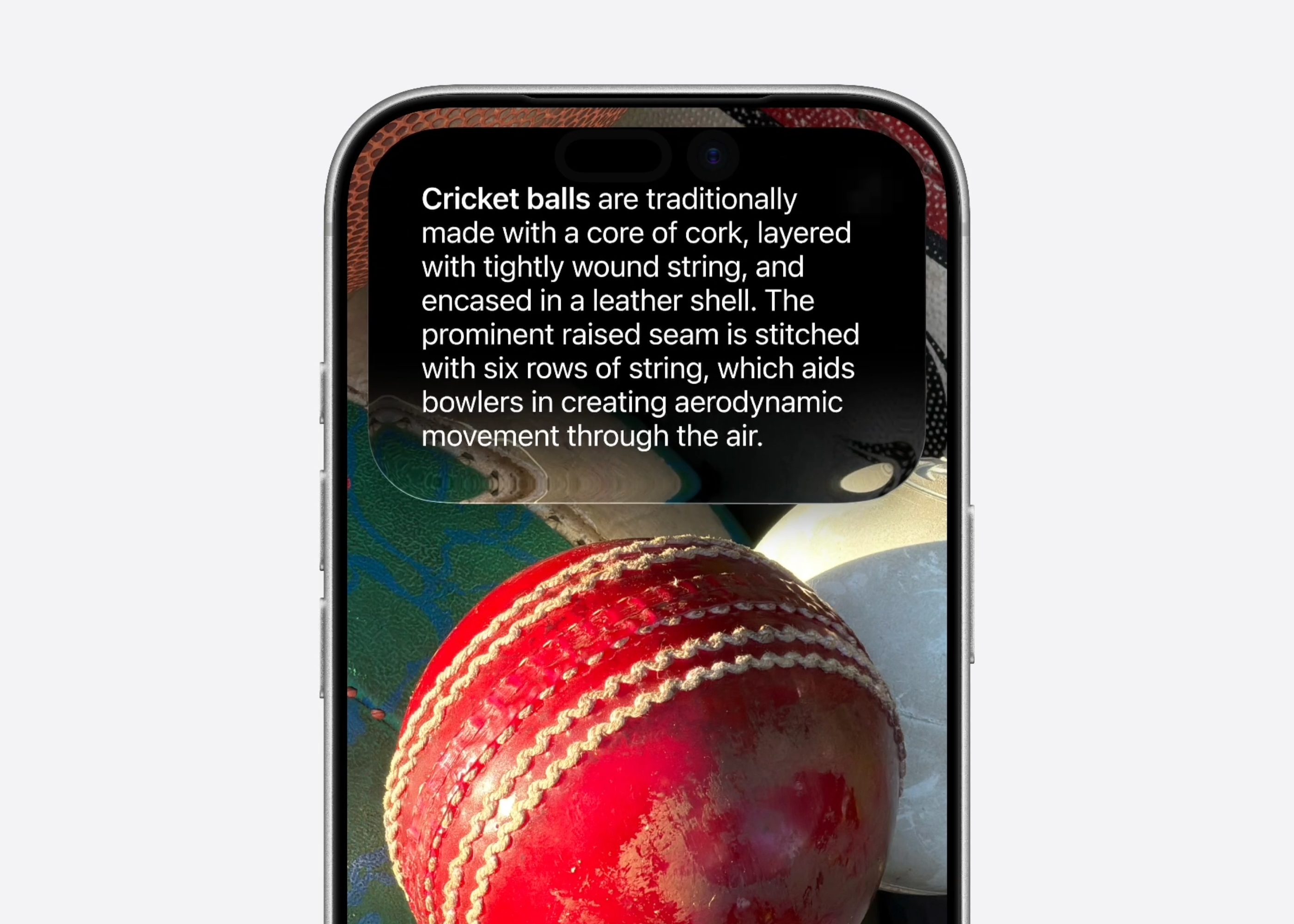 Visual Intelligence on iPhone