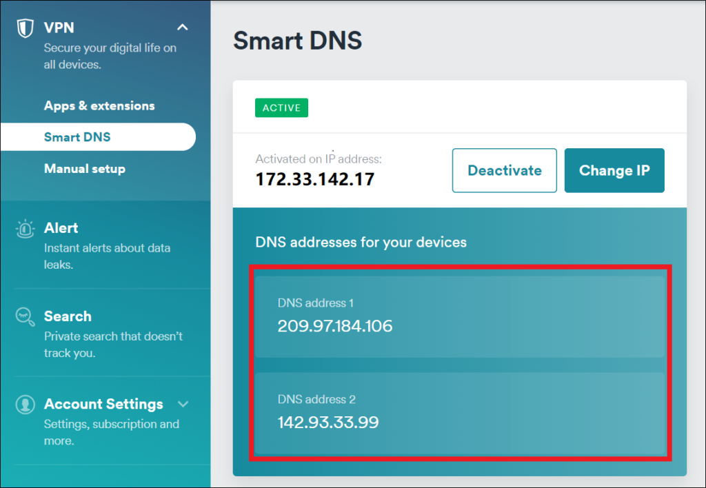 Smart DNS Active